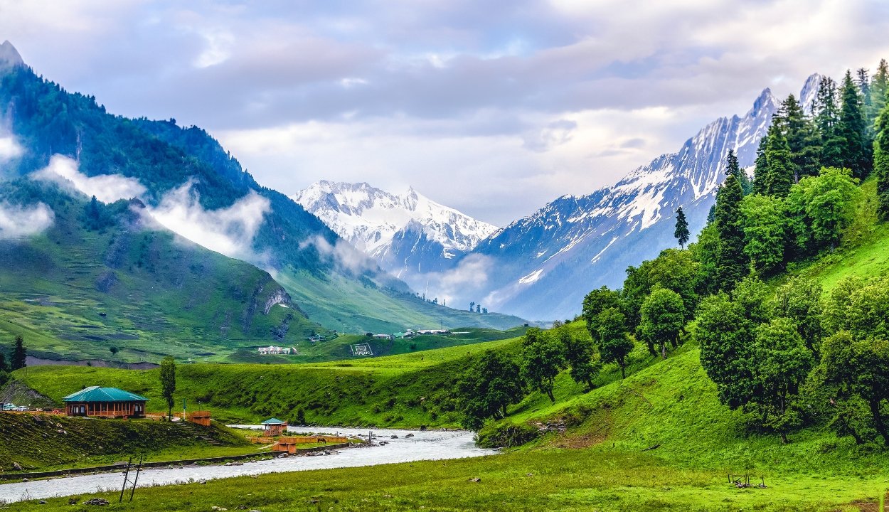 Sonamarg Meadow of Gold