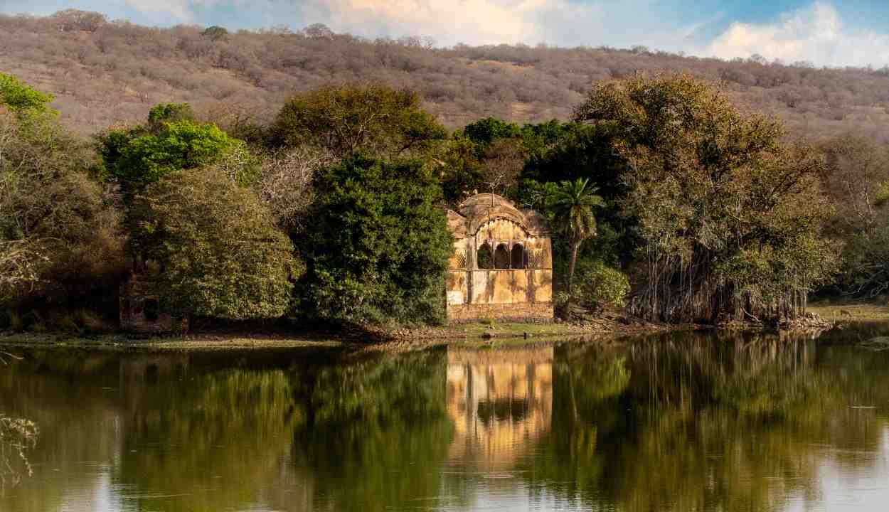 jaipur