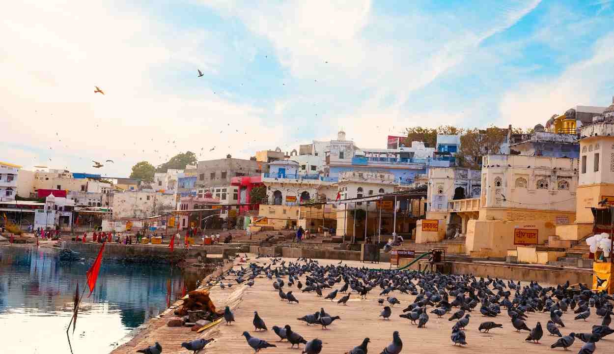 Ultimate Rajasthan Explorer Package
